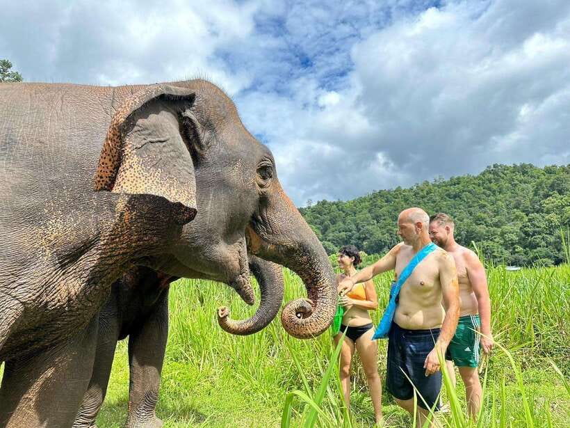 Chiang Mai: Elephant Sanctuary, Waterfall & Bamboo Rafting - Elephant Walks Through Forest: Foraging Time and Family Interactions