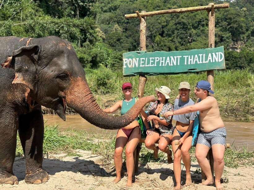 Chiang Mai: Elephant Sanctuary, Waterfall & Bamboo Rafting - Getting There: Downtown Pickup and the Route Beyond Chiang Mai