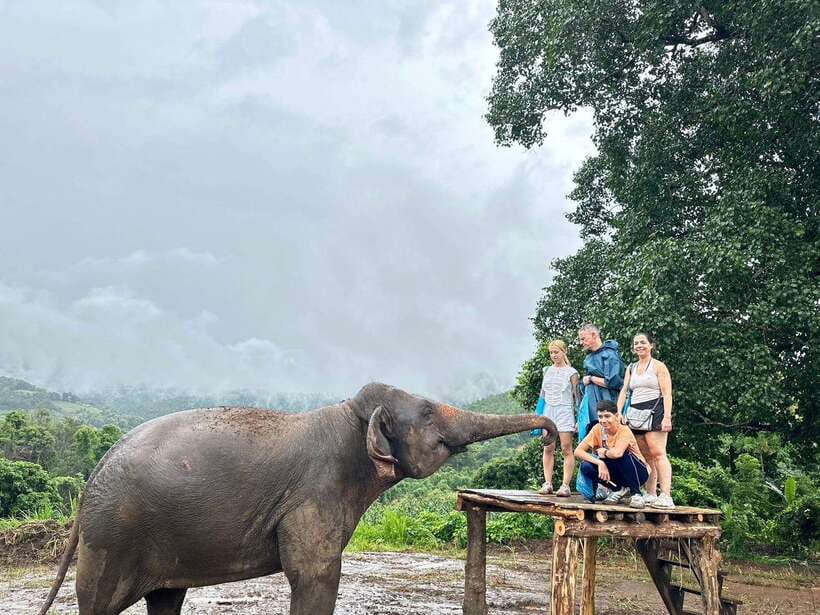 Chiang Mai: Elephant Sanctuary & Waterfall Group Tour - Who This Tour Fits Best (and Who Should Skip)