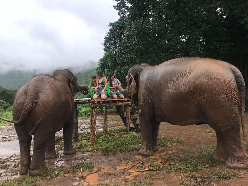 Chiang Mai: Elephant Sanctuary & Waterfall Group Tour - Mae Wang Waterfall Hike: What It Feels Like and How to Prepare