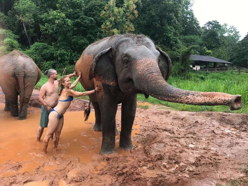 Chiang Mai: Elephant Sanctuary & Waterfall Group Tour - Lunch and the Included Food: Simple, Local, and Actually Helpful