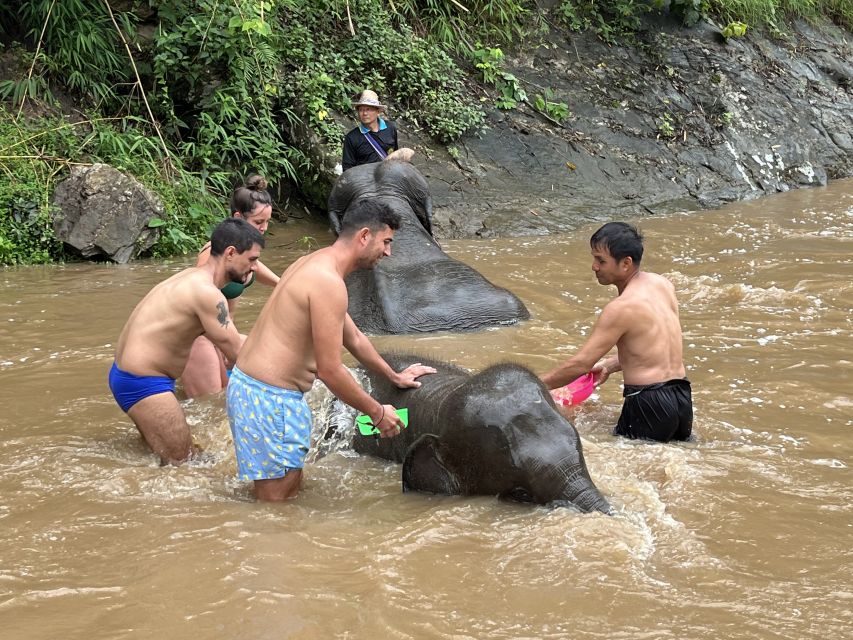 Chiang Mai: Elephant Sanctuary & Waterfall Group Tour - Price and Value: Does $50 Really Match the Day?