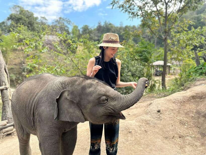 Chiang Mai: Elephant Sanctuary & Waterfall Group Tour - What to Bring: Your Wet-and-Jungle Checklist