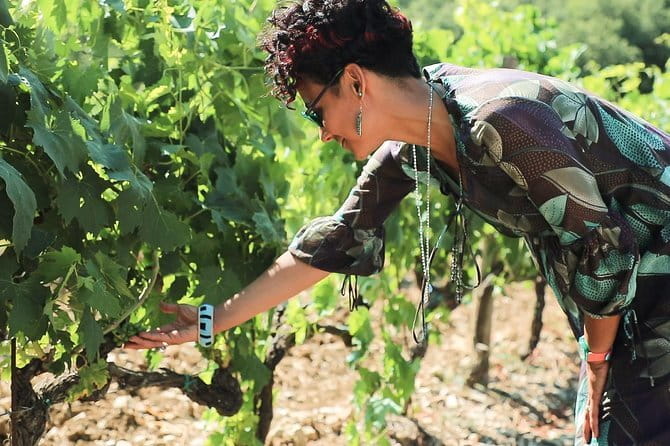 Chianti Wine Tour from Florence - The Via Chiantigiana Coach Ride: Your Scenic Warm-Up