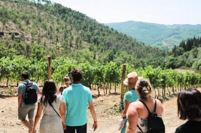 Chianti Wine Tour from Florence - Winery Stop One: Organic Production and an Owner-Led Tasting