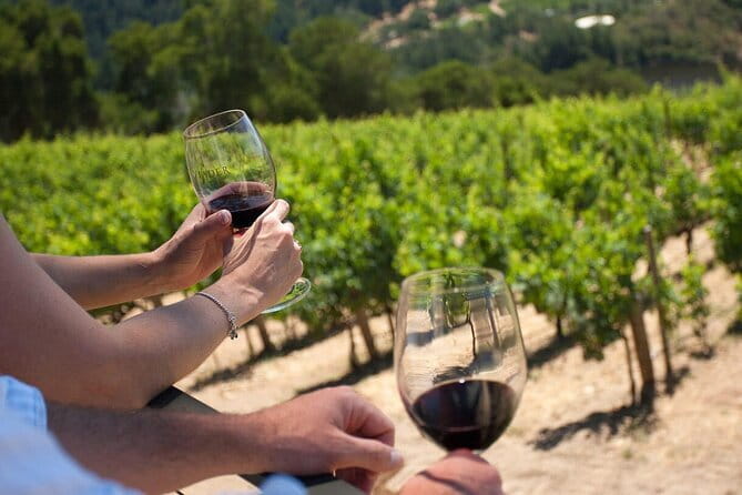 Chianti Wine Tour from Florence - Practical Tips That Make or Break the Day