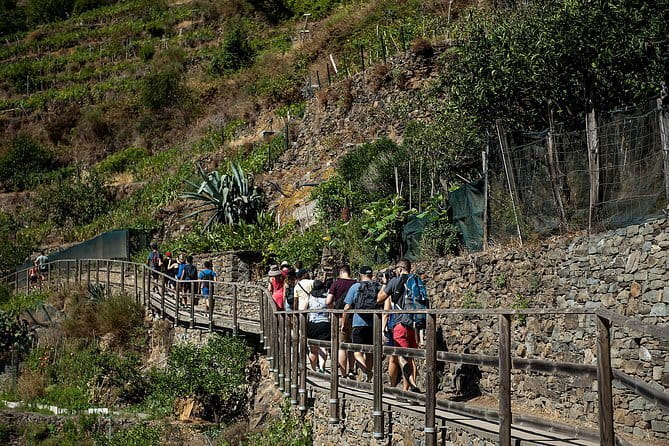 Cinque Terre Day Trip with Optional Hiking or Pisa - Your Two Route Choices: Coastal Hiking vs Train-Hopping
