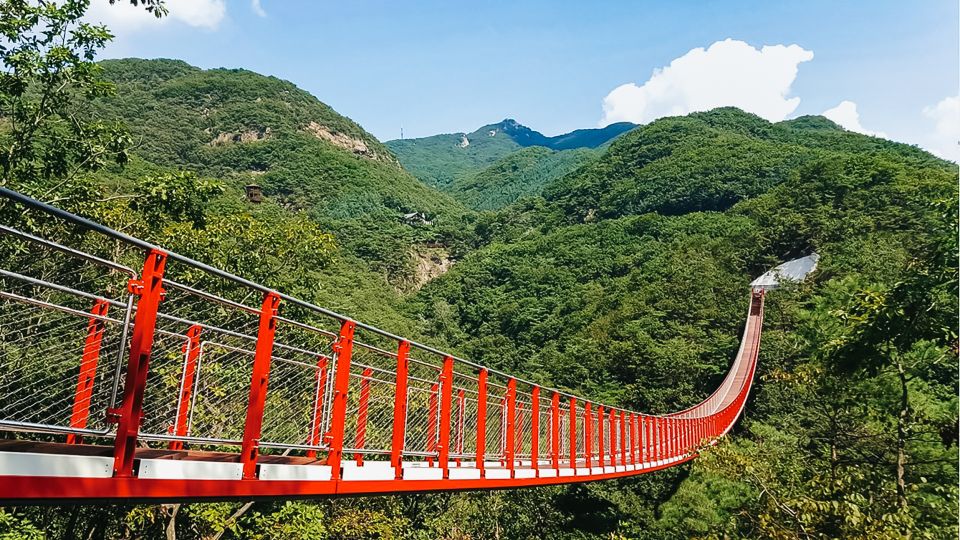 DMZ Insider Tour: 3rd Tunnel, NK Defector Meet & Red Bridge - A DMZ Day That Mixes Tunnels, Testimony, and Border Views