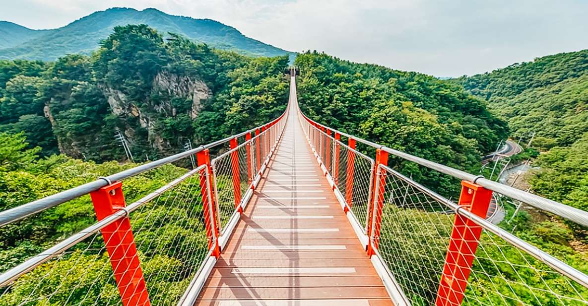 DMZ Insider Tour: 3rd Tunnel, NK Defector Meet & Red Bridge - DMZ Transit and Dora Observatory: Seeing the Border From a Controlled Point