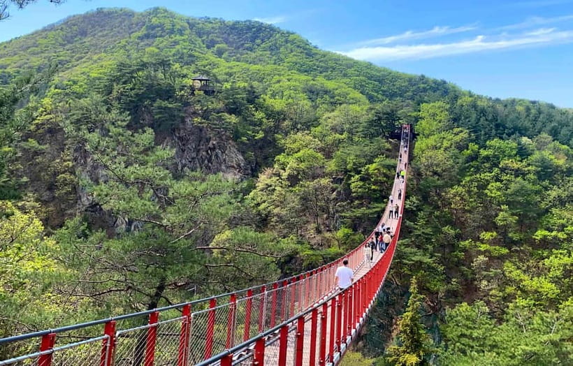 DMZ; NK Defector, 3rd Tunnel, Suspension Bridge,Hotel pickup - Imjingak Park: Freedom Bridge, Mangbaedan, and the Steam Locomotive Area