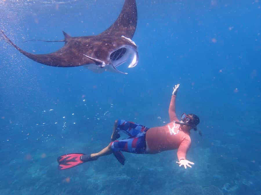 From Bali: 3 Snorkeling Spots Tour to Lembongan and Penida - FAQ