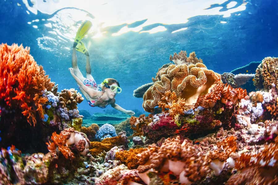 From Bali: 3 Snorkeling Spots Tour to Lembongan and Penida - Bali to Nusa Islands: the Serangan ferry and how the day starts