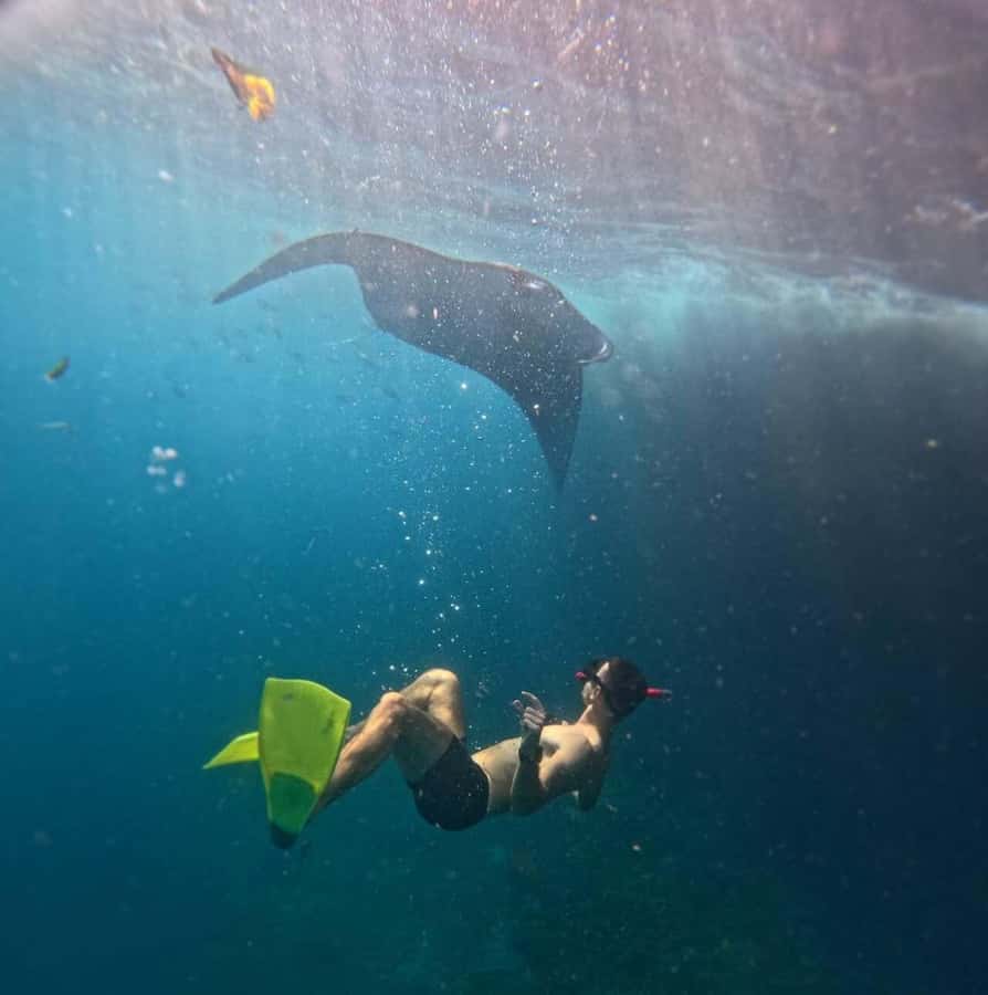From Bali: Snorkeling 3 Spots with GoPro & West Penida Tour - Sanur Speedboat Start: how early departure shapes your day
