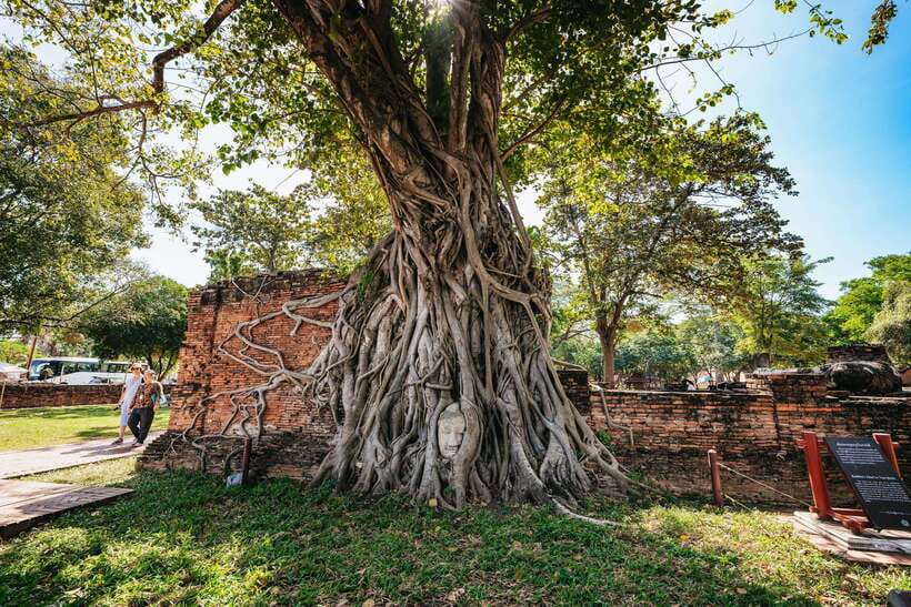 From Bangkok: Ayutthaya Temples Guided Tour with Lunch - From Bangkok to Ayutthaya: what the 7-hour pace feels like