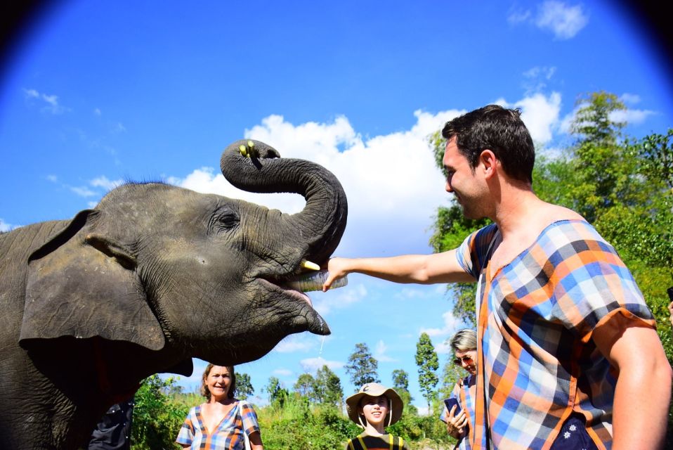 From Chiang Mai: Elephant Care Program and Nursery Tour - Key highlights that make this program worth your time