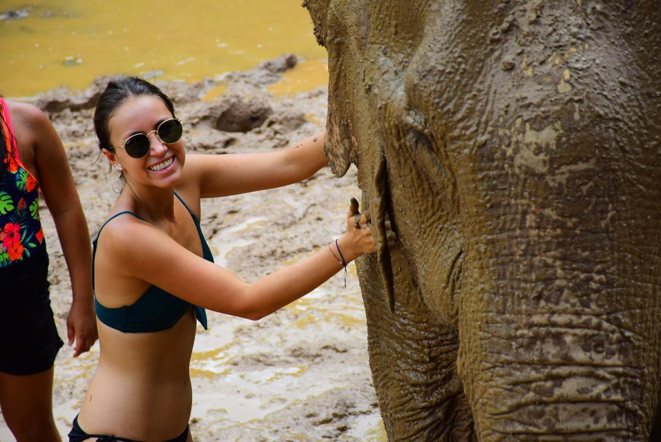 From Chiang Mai: Elephant Care Program and Nursery Tour - Thai buffet lunch and the shower break you’ll really appreciate