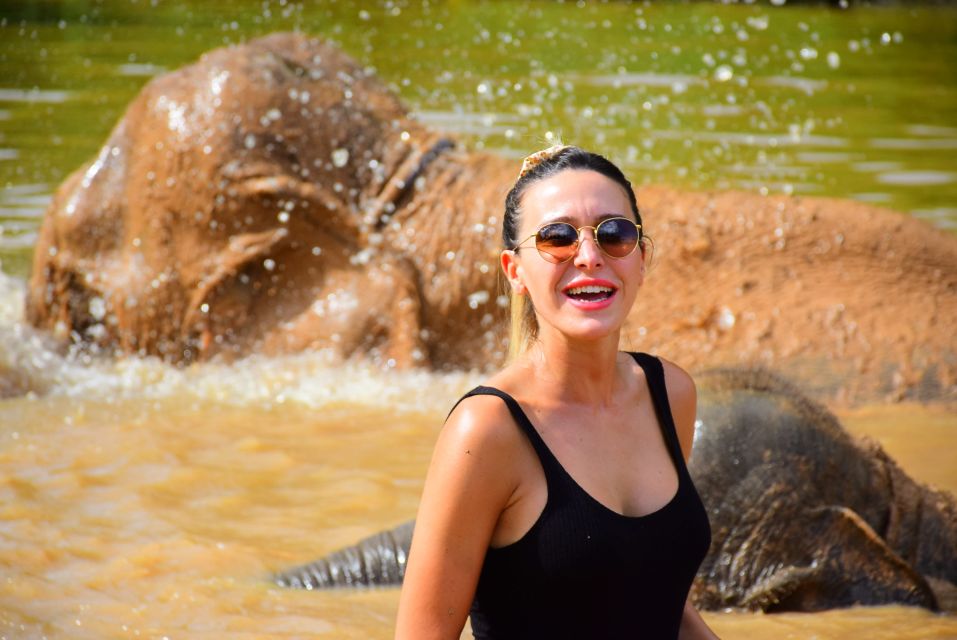 From Chiang Mai: Elephant Care Program and Nursery Tour - Group vibe, guide personalities, and photo moments