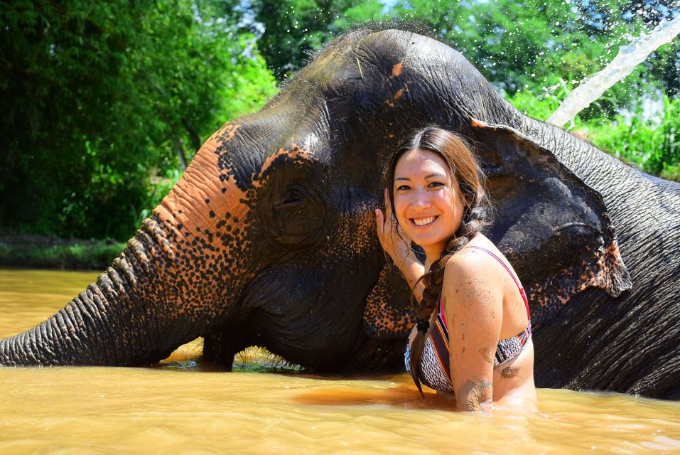 From Chiang Mai: Elephant Care Program and Nursery Tour - Who this tour suits best (and who should think twice)