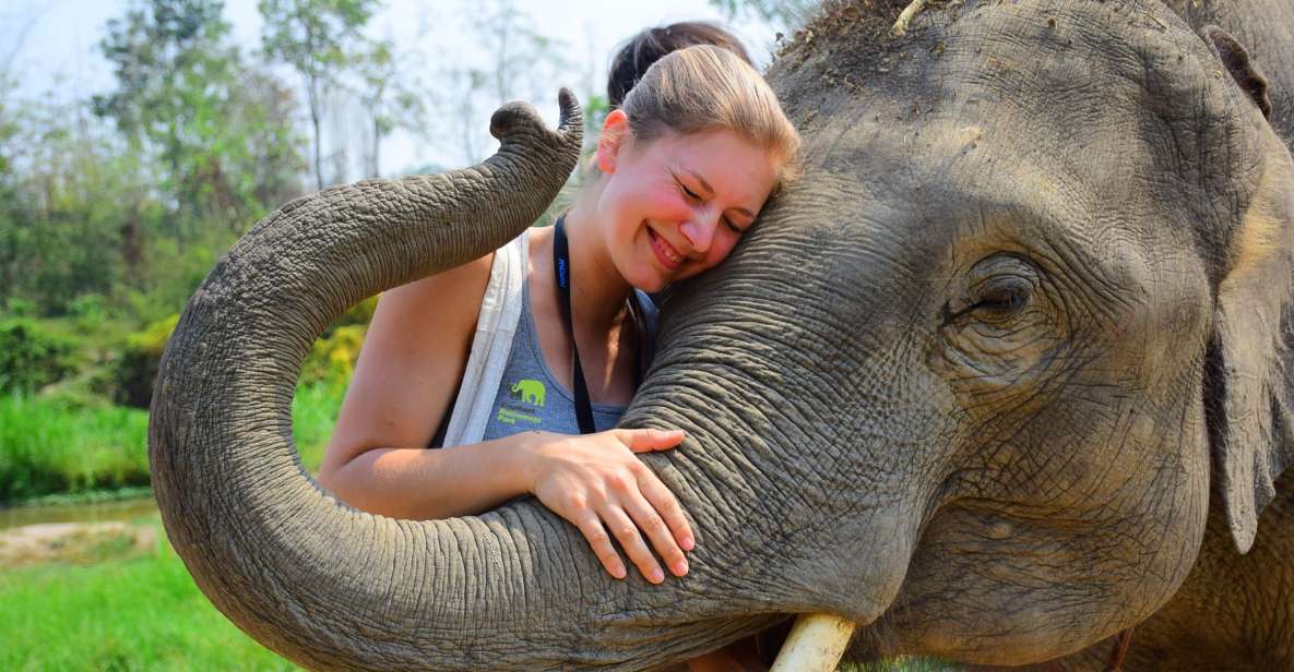 From Chiang Mai: Elephant Care Program and Nursery Tour - Getting there from Chiang Mai: the ride to Mae Tang sets the tone