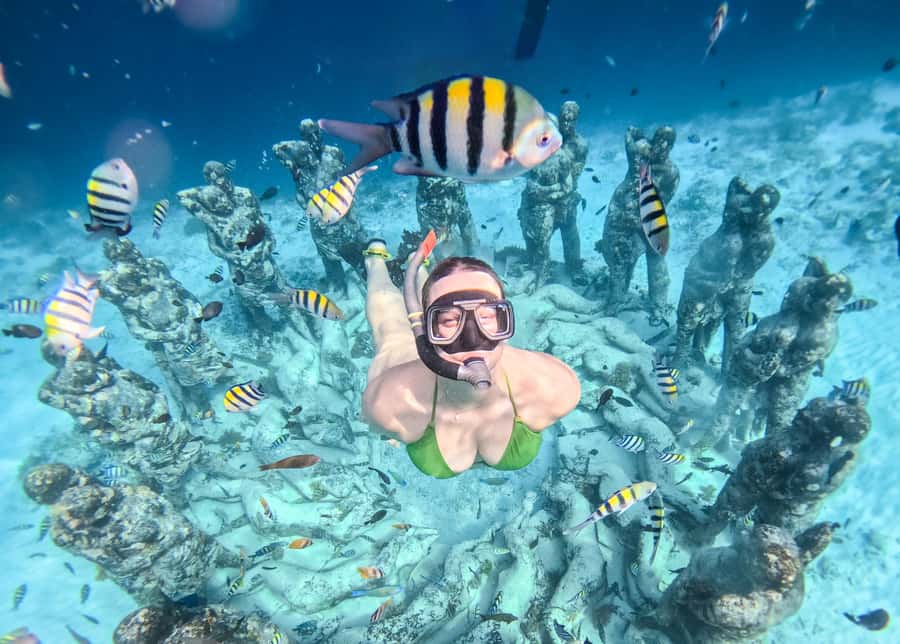 From Gili Trawangan: Gili Islands Snorkeling Boat Tour - How this tour fits into a Gili day