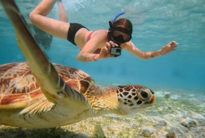 From Gili Trawangan: Gili Islands Snorkeling Boat Tour - From Sama-Sama Reggae Bar to the first splash