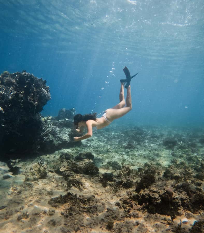 From Gili Trawangan: Gili Islands Snorkeling Boat Tour - Stop 2: Turtle Point reef swimming
