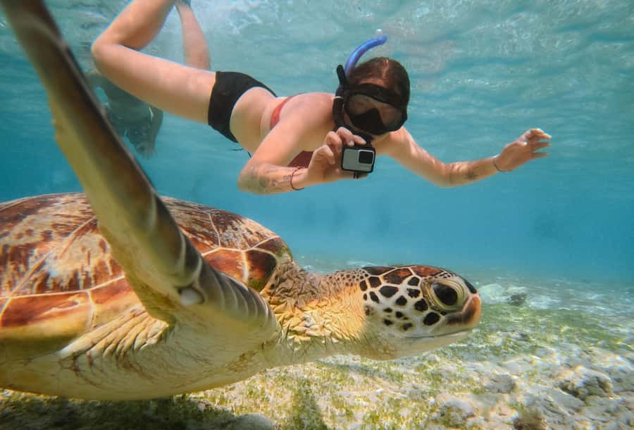 From Gili Trawangan: Gili Islands Snorkeling Boat Tour - From Sama-Sama Reggae Bar to the first splash