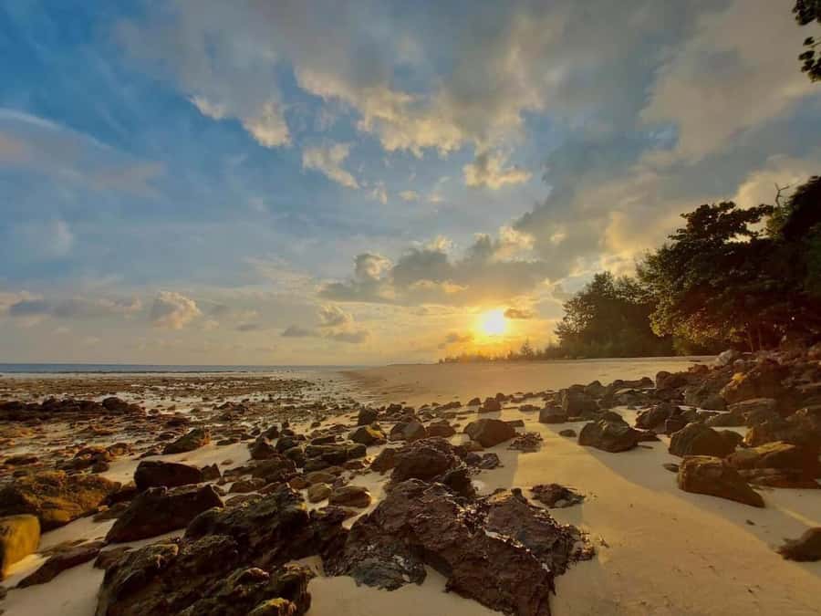 From Krabi: Phi Phi Early Bird & 4 Islands by Speedboat - Koh Mor and Koh Tap: the sandbar link you don’t want to skip
