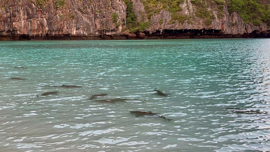 From Krabi: Phi Phi Early Bird & 4 Islands by Speedboat - Viking Cave and Monkey Bay: photos without the inside-cave hassle
