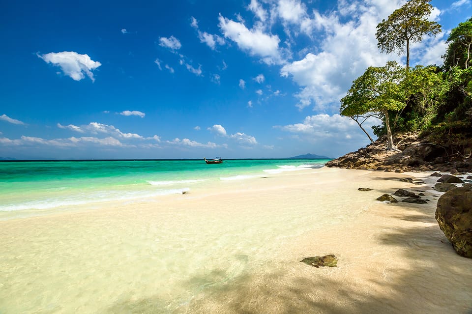 From Krabi: Phi Phi Islands Speedboat Day Tour - Key highlights worth caring about