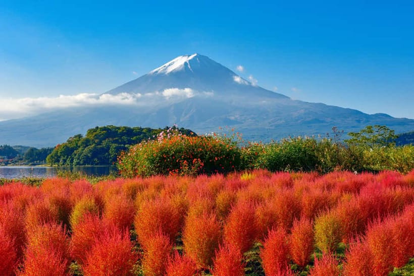 From Tokyo: Mount Fuji Full-Day Sightseeing Trip - Quick hits you’ll feel immediately