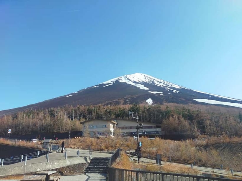From Tokyo: Mount Fuji Full-Day Sightseeing Trip - Arakurayama Sengen Park and Chureito Pagoda: the hillside payoff
