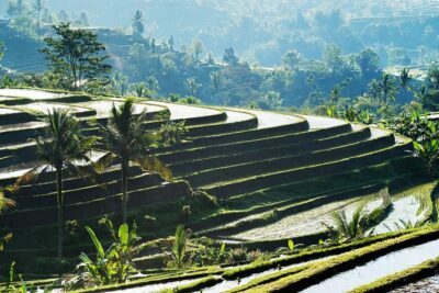 Full-Day Tour to Water Temples and UNESCO Rice Terraces in Bali - Why This Route Works: Ulun Danu Bratan to Tanah Lot