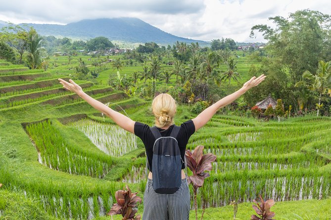 Full-Day Tour to Water Temples and UNESCO Rice Terraces in Bali - Luhur Batukaru Temple: Volcano-Slope Spirituality