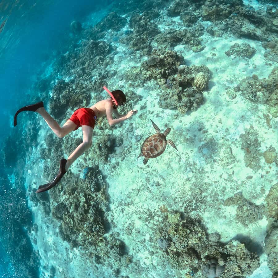 Gili Islands: Private or Shared Snorkeling Boat Trip - Key Things That Make This Trip Worth It