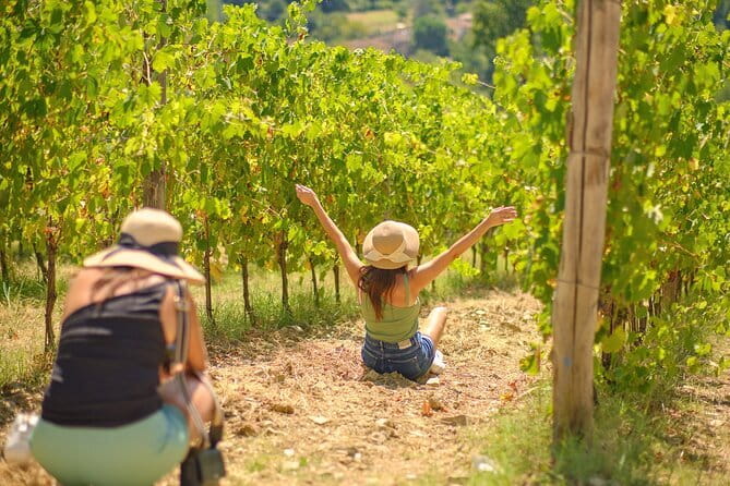 Half day Chianti Vineyard Escape from Florence with Wine Tastings - Key points to know before you go