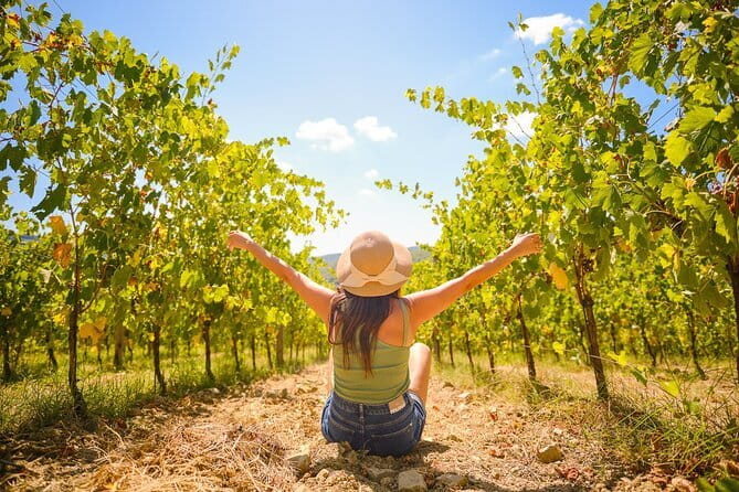 Half day Chianti Vineyard Escape from Florence with Wine Tastings - Two wineries, one half-day: what you’ll actually do at each stop