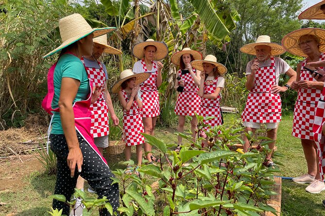 Half-Day Thai Cooking Class at Organic Farm in Chiang Mai - Key things I’d circle before you book