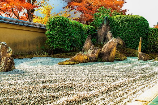 Hidden Kyoto E-Biking tour - The tea break and the guide’s storytelling style
