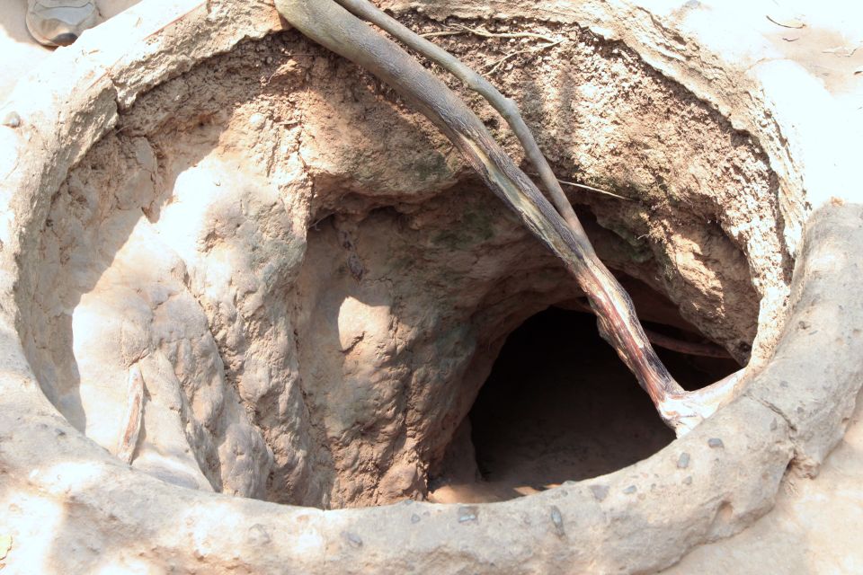 Ho Chi Minh City: Cu Chi Tunnels Tour - Entering the tunnels: what to expect from the crawl