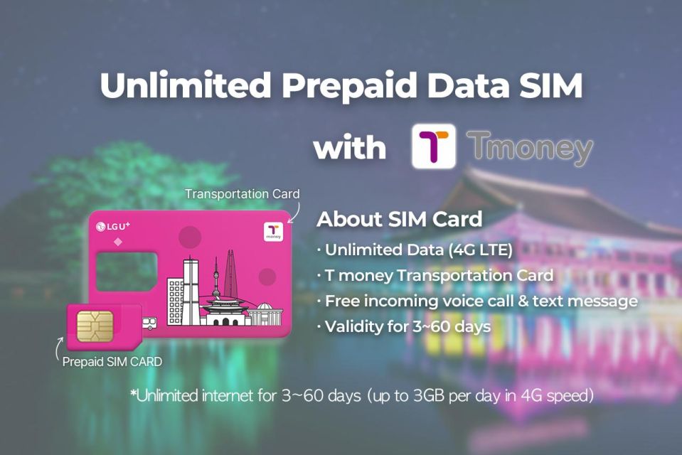 Incheon Airport: Traveler SIM & T-money Transportation Card - T-money Card for Seoul: transit, convenience stores, and card taxis