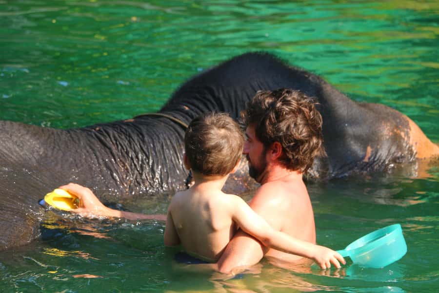 Khao Lak: Rafting, Elephant Bathing & Sea Turtle Center Tour - Key Highlights You’ll Actually Remember