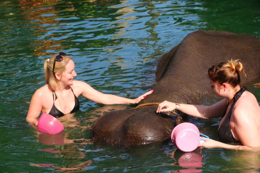 Khao Lak: Rafting, Elephant Bathing & Sea Turtle Center Tour - How the Day Feels: 5 Hours of Nature, Not Museum Time