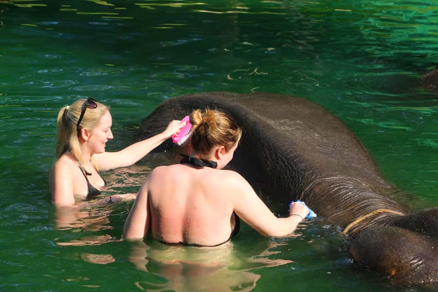 Khao Lak: Rafting, Elephant Bathing & Sea Turtle Center Tour - Bamboo Rafting on the River: Quiet Water, Wildlife Moments