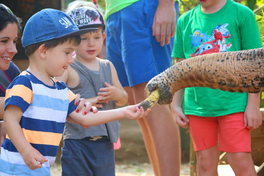 Khao Lak: Rafting, Elephant Bathing & Sea Turtle Center Tour - Who This Tour Is Best For (And Who Should Skip It)