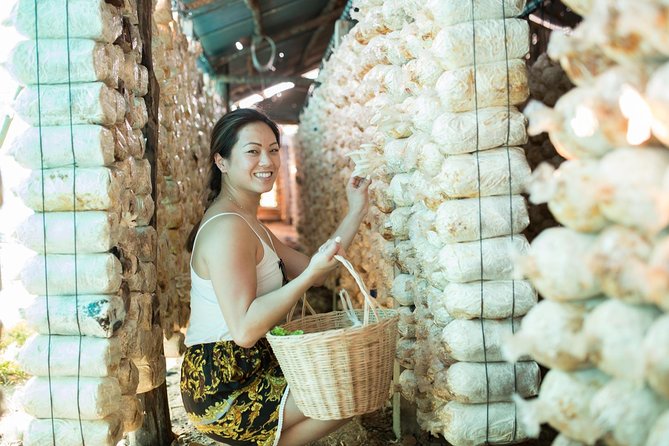 Khmer Cooking Class at a Local's Home in Krong Siem Reap - Tuk-tuk pickup and the market ingredient hunt