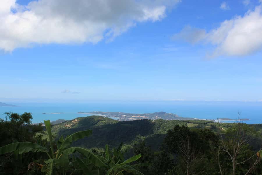 Ko Samui: 4WD Wild Jungle Safari Tour with Lunch - Mummified Monk at the Glass Case Temple Stop