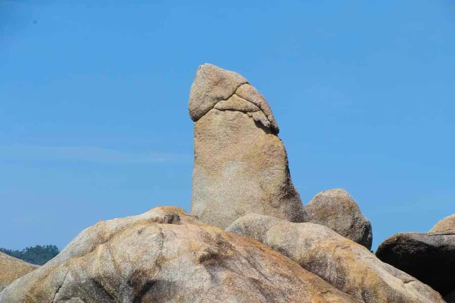Ko Samui: 4WD Wild Jungle Safari Tour with Lunch - Pickup, Timing, and Why the 7–7.5 Hours Work