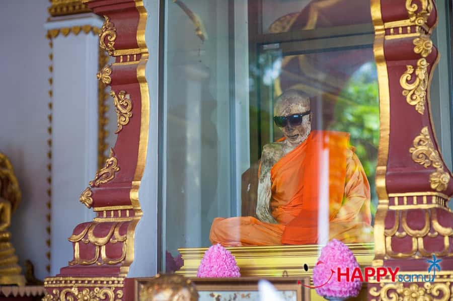 Koh Samui: Half-Day Island Highlights Tour with Hotel Pickup - Optional elephant camp: close-up, no riding, observation-focused