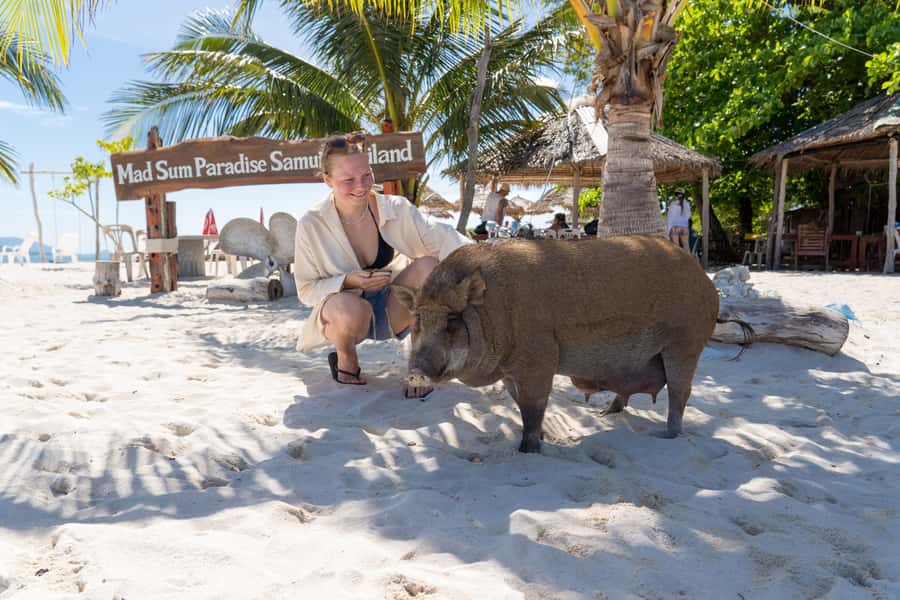 Koh Samui: Island Hopping Adventure in Coral and Pig Island - Low-impact and GSTC-certified travel: what it means on the ground